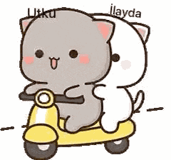 Utku Ilayda GIF