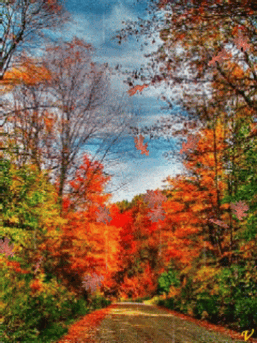 Utnguyen Nature GIF