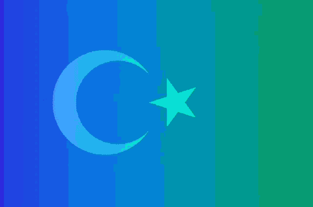 Uyghur Uygur GIF