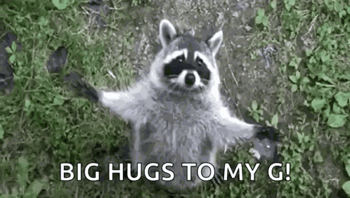 V A Sly GIF