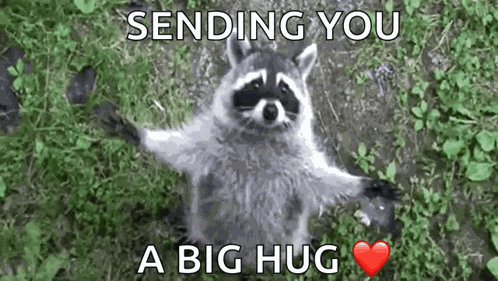 V A Sly GIF