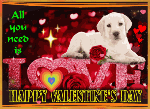 Valentine'S Day Happy Valentine'S Day GIF