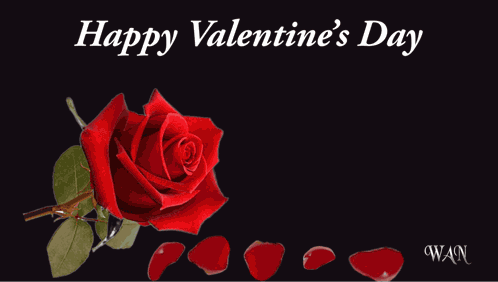 Valentine'S Day Happy Valentine'S Day GIF