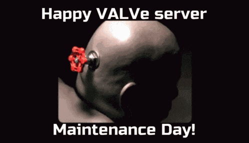 Valve Server Maitenance GIF
