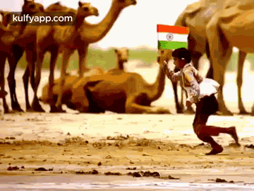 Vande Mataram.Gif GIF