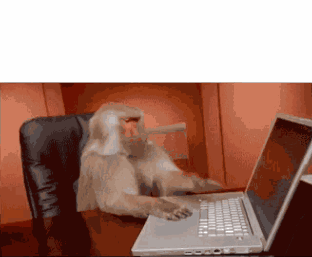 Vangraffs Bodegang GIF