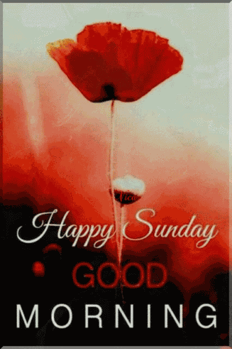 Vasárnap Happy Sunday GIF