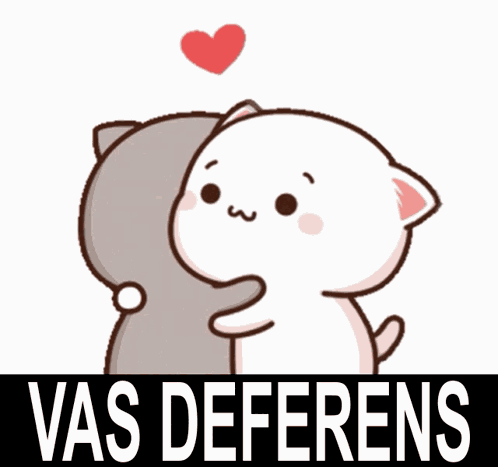 Vas Deferens Peach And Goma GIF