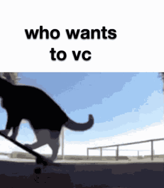 Vc GIF