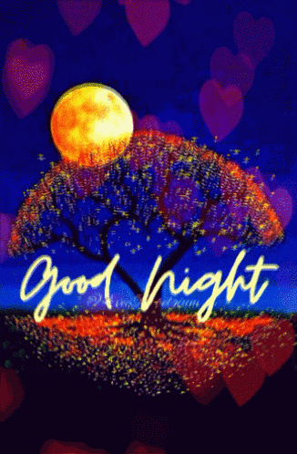 Vec50 Vec50goodnight GIF