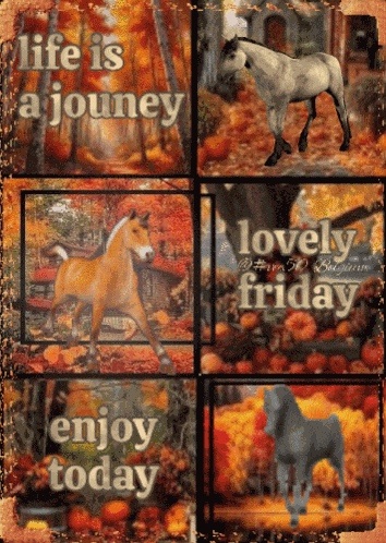 Vec50friday We GIF