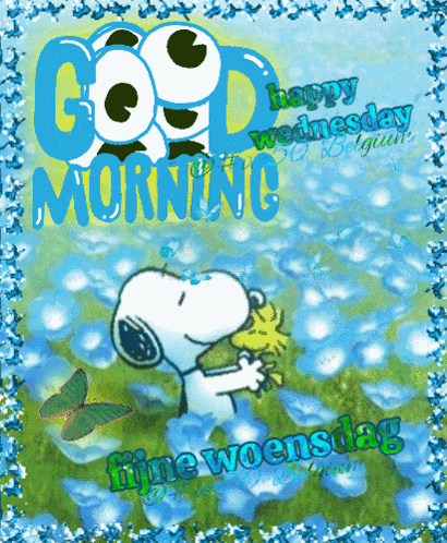 Vec50gm Vec50wednesday GIF