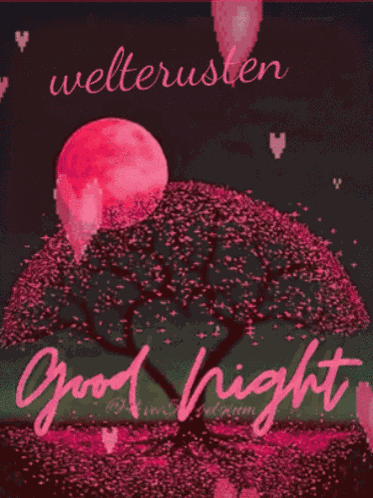 Vec50goede Nacht Vec50goedenacht GIF