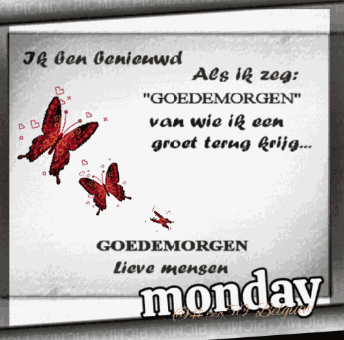 Vec50maandag Vec50week GIF