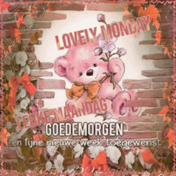 Vec50monday GIF