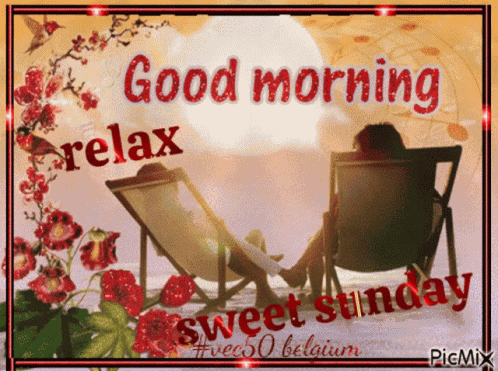 Vec50sunday Good Morning GIF