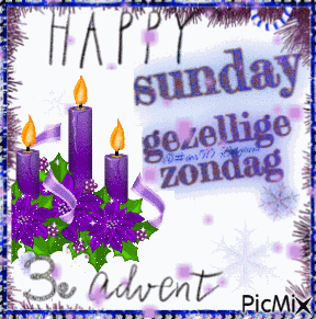 Vec50sunday Vec50zondag GIF