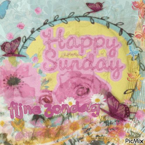 Vec50sunday Zondag GIF