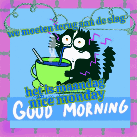Vec50week Vec50monday GIF