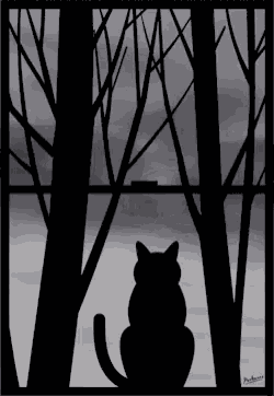 Vector Art Cats Silhouette GIF