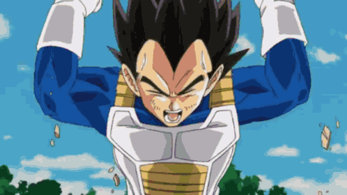 Vegeta Dragon Ball GIF