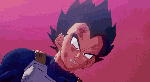 Vegeta Dragon Ball Z Kakarot GIF