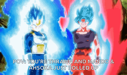 Vegeta Songoku GIF