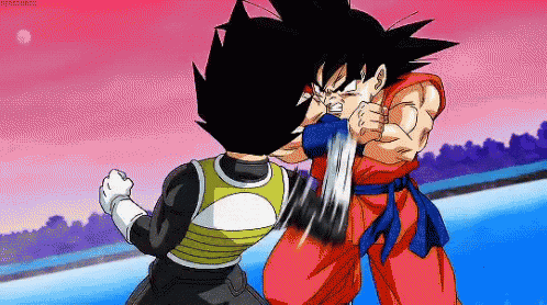 Vegeta Vs Goku Pelea1 GIF
