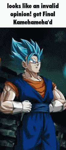 Vegito Vegito Blue GIF