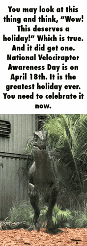 Velociraptor Velociraptor Awareness GIF