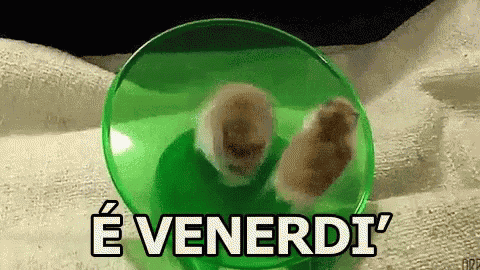 Venerdì Buon Venerdi Divertirsi Ballare Girare Criceti GIF