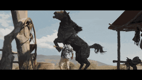Venom Venom Horse GIF