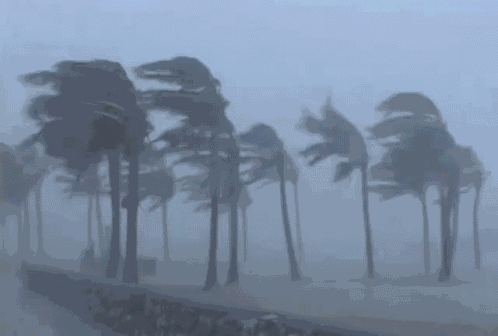 Vent Hurricane GIF