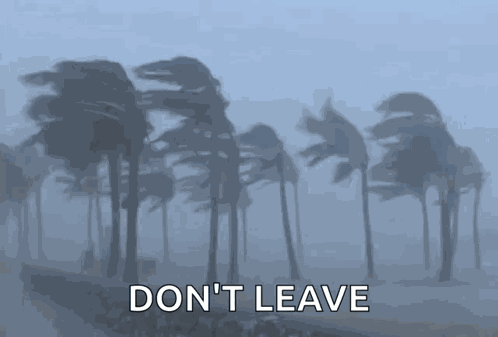 Vent Hurricane GIF