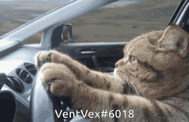 Vent Vex Tgr GIF