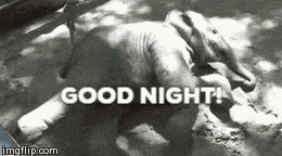 Veramesi Baby GIF