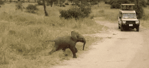 Veramesi Bye GIF