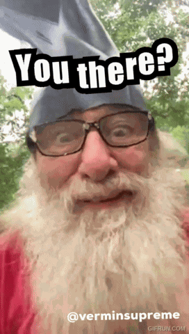 Vermin Supreme Are You There GIF