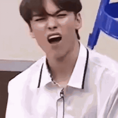 Vernon Seventeen GIF