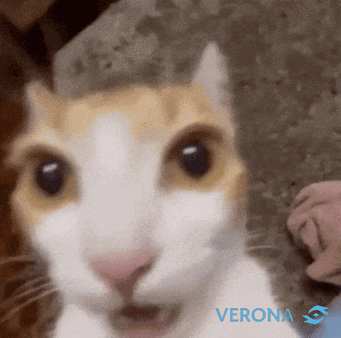 Verona GIF