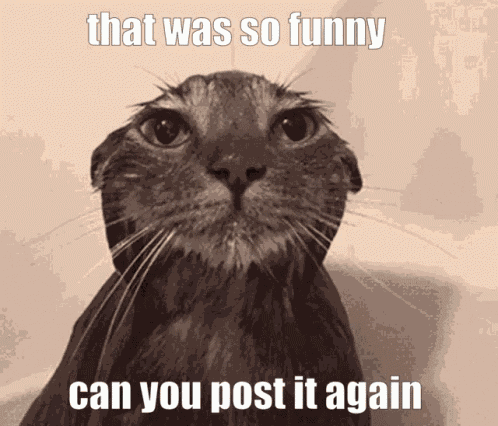 Very Funny GIF