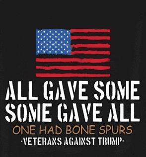 Veterans Against Trump Veteran Meme