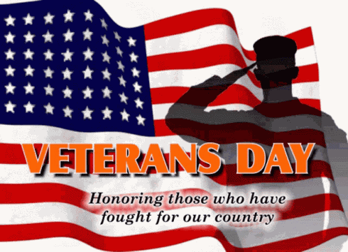 Veterans Day 102 Vets GIF