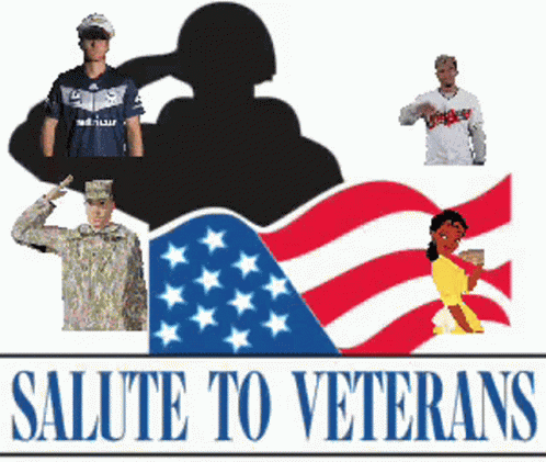 Veterans Day Salute GIF