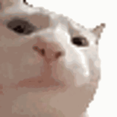 Vibe Cat Discord GIF