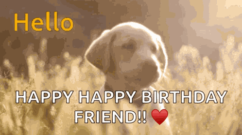 Viking Flok Labrador GIF