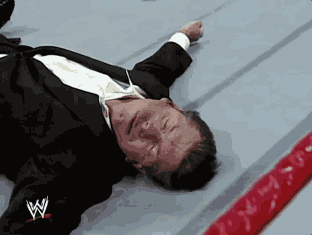Vince Mcmahon Meme Wwe Meme GIF