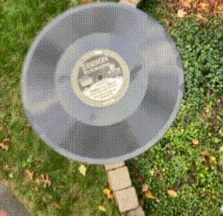 Vinyl Record GIF
