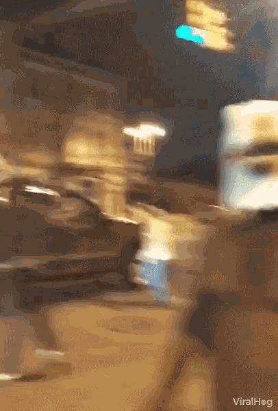 Viralhog Bald Eagle Mask GIF