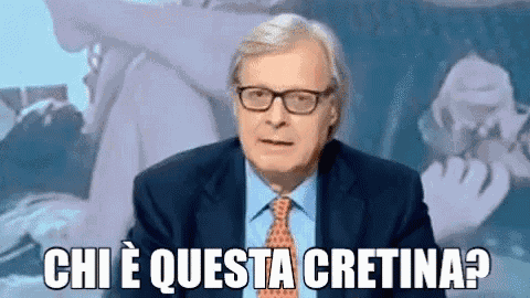 Vittorio Sgarbi Chièquesta Cretina GIF